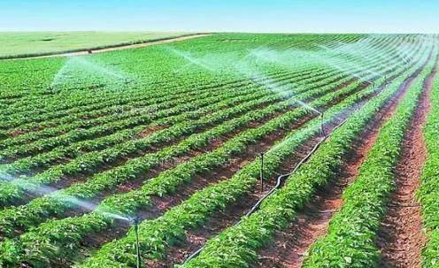吃奶头子网页农田高 效节水灌溉